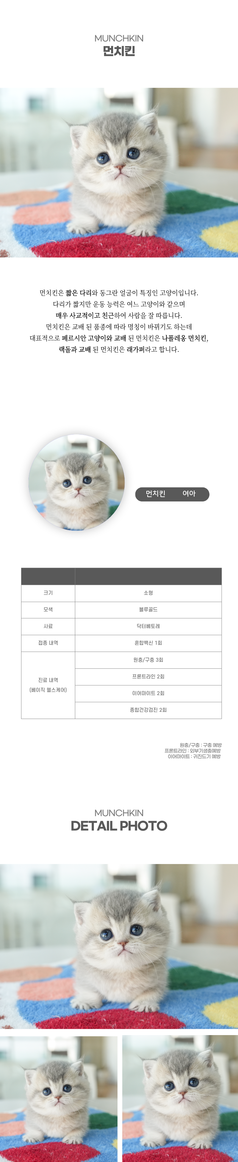 먼치킨_상세이미지_2